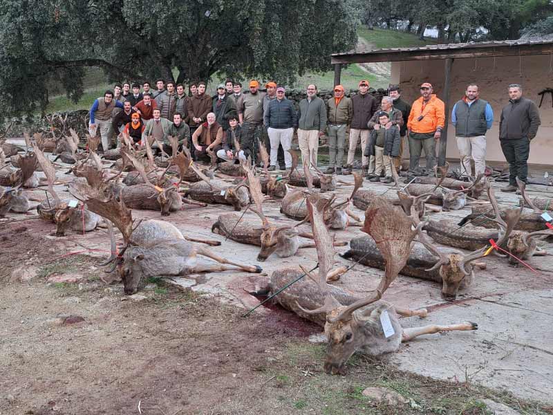 Resultado Montería Casa Polo 2023 Cinegética Cordobesa